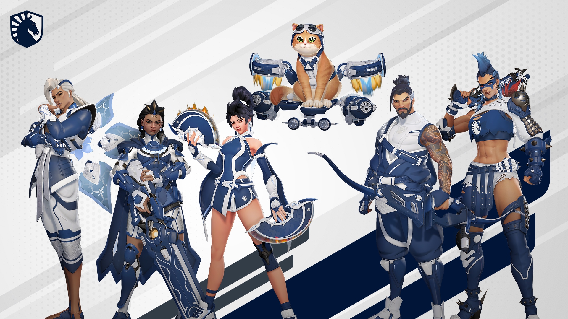Team Liquid OWCS 2026 Partner Team Mega Bundle